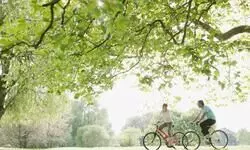 Planting it the right way