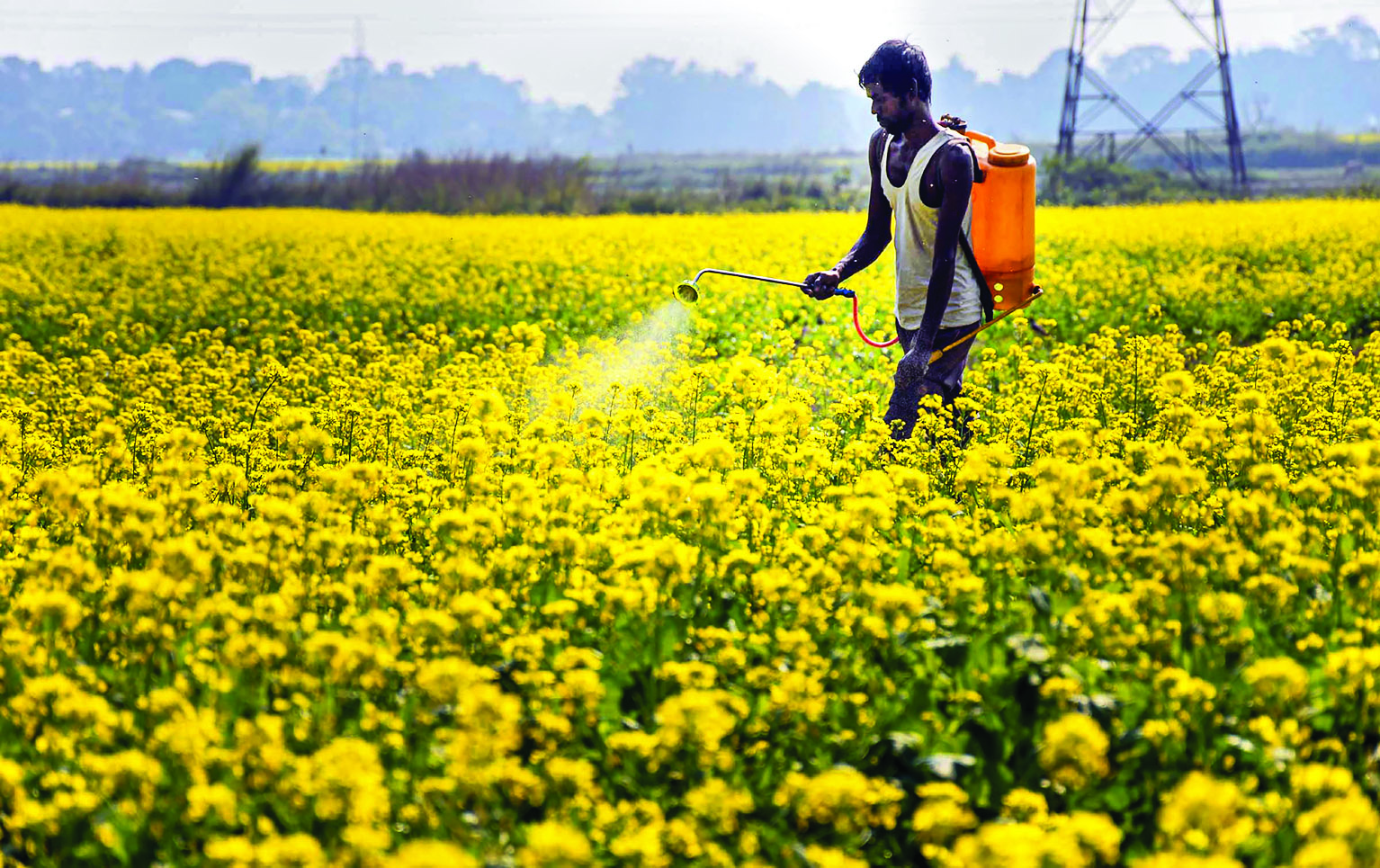 GM mustard: Tests prescribed, dropped; no health expert participated in appraisal, claims report