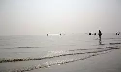 Bengal: Beach near Gangasagar Mela site faces erosion, steps taken to arrest deterioration