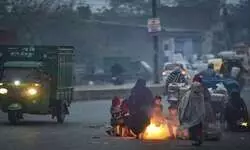 Cold wave sweeps Haryana and Punjab, Hisar reels at 1.4 degrees celsius