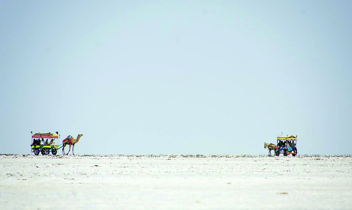 DPIIT working on policy to auction salt land to pvt players