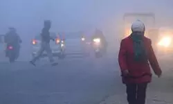 Fog envelops north India amid cold wave; 4 dead in Uttar Pradesh road accident