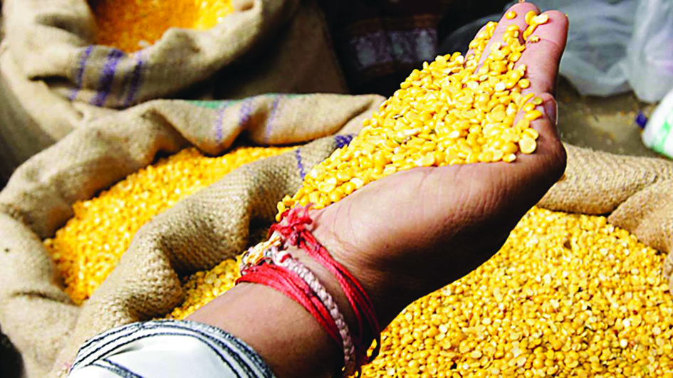 Govt makes advance plan to import 10 lakh tonne tur dal this year Govt makes advance plan to import 10 lakh tonne tur dal this year