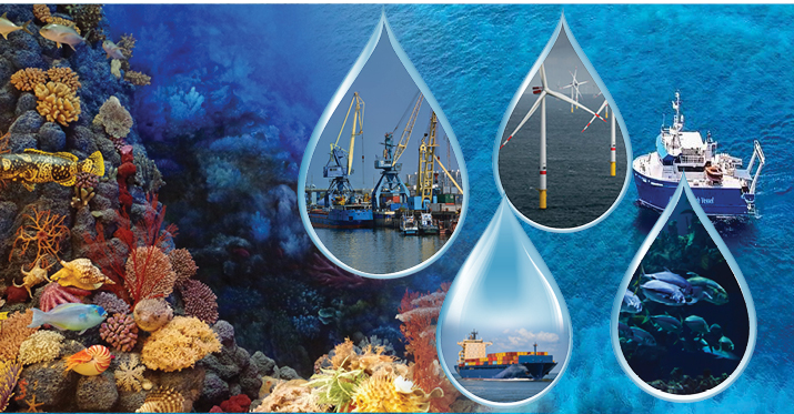 Blue or indigo? Blue or indigo?