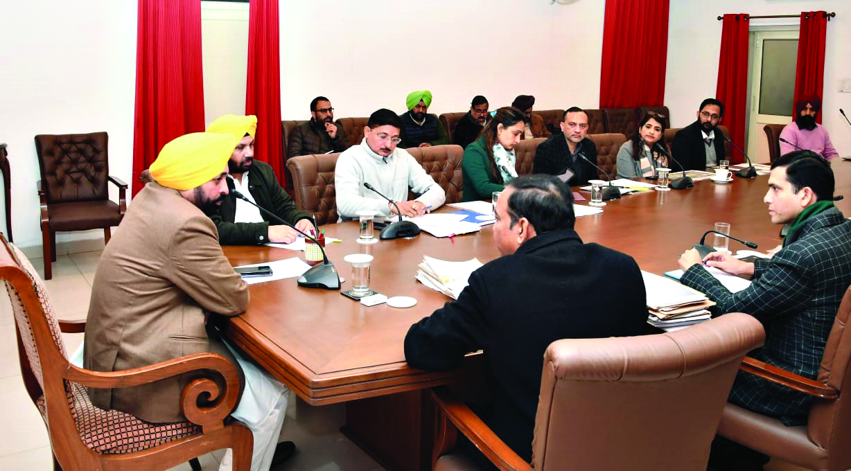 Mann: Ensure domestic flights from Adampur