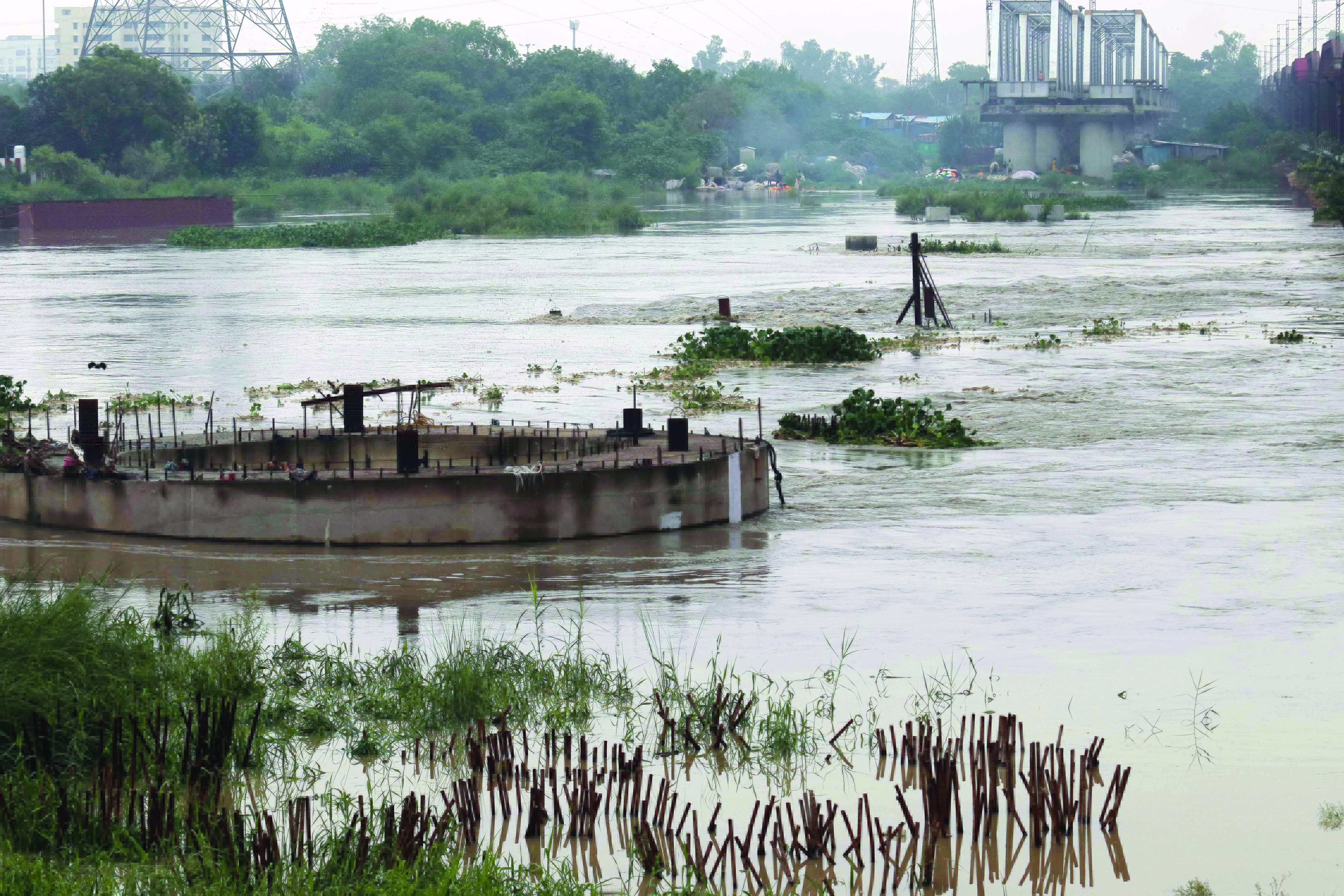 Yamuna’s pollution load has doubled since 2014: Sources