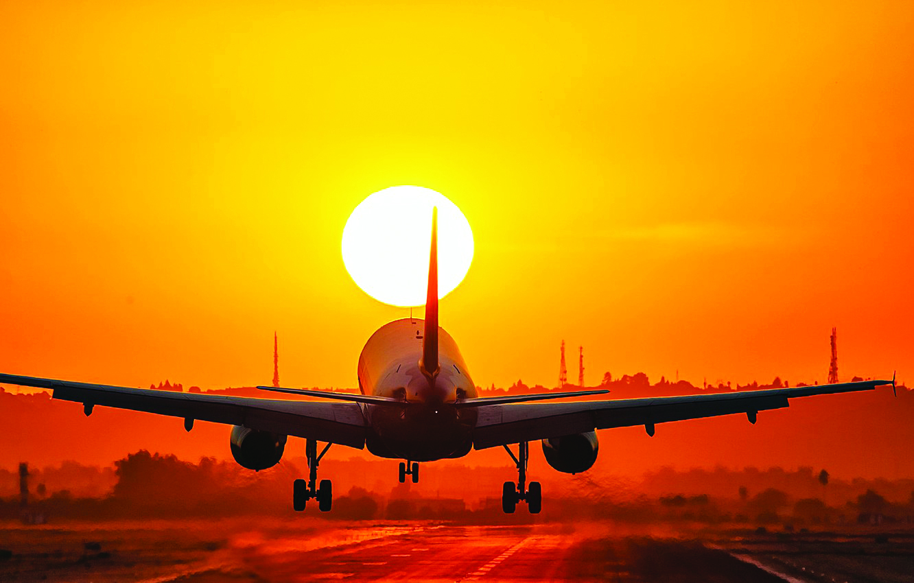 Prominently display pet carriage policy on websites: DGCA to airlines Prominently display pet carriage policy on websites: DGCA to airlines