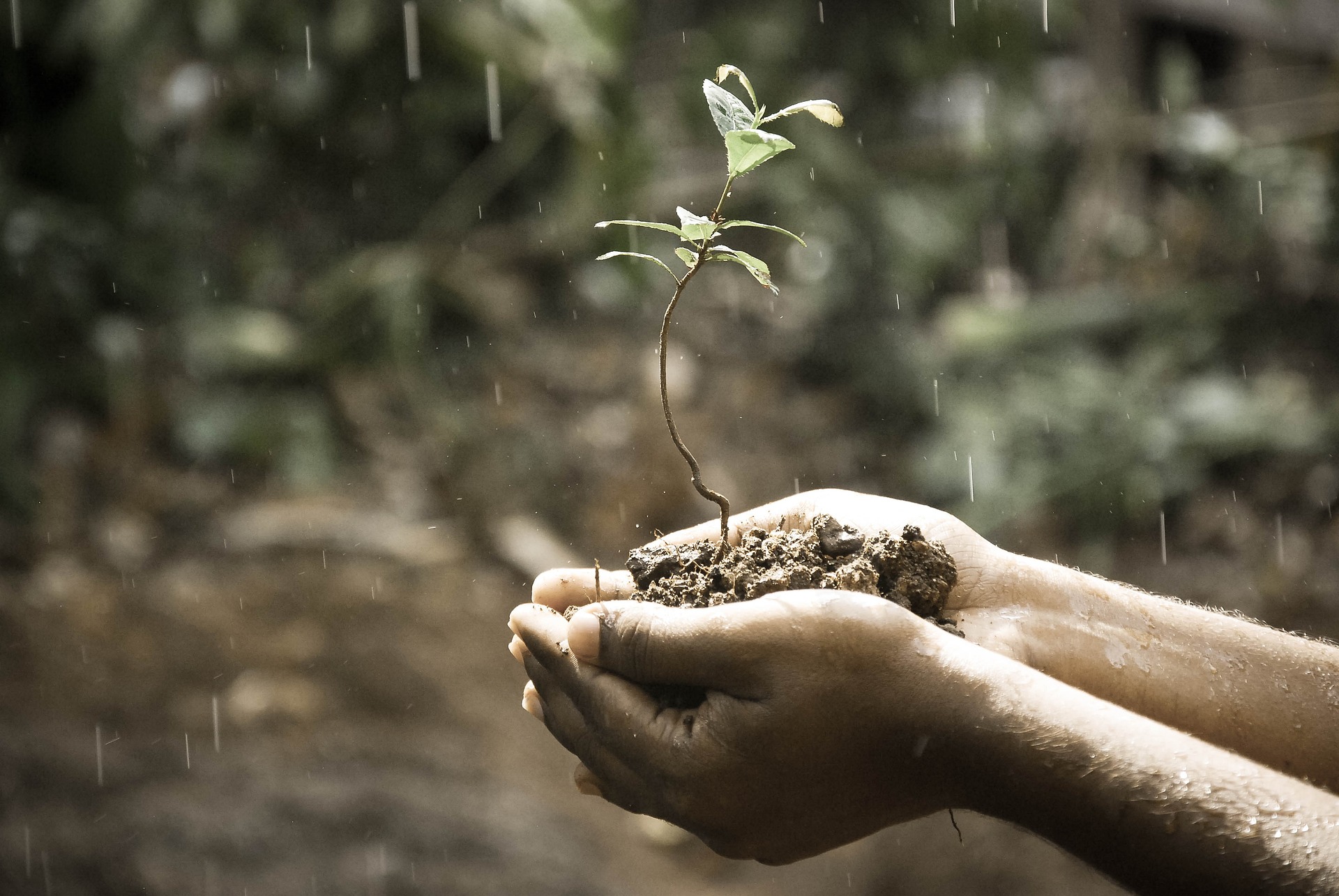 Nexus of Good: Nurturing a change