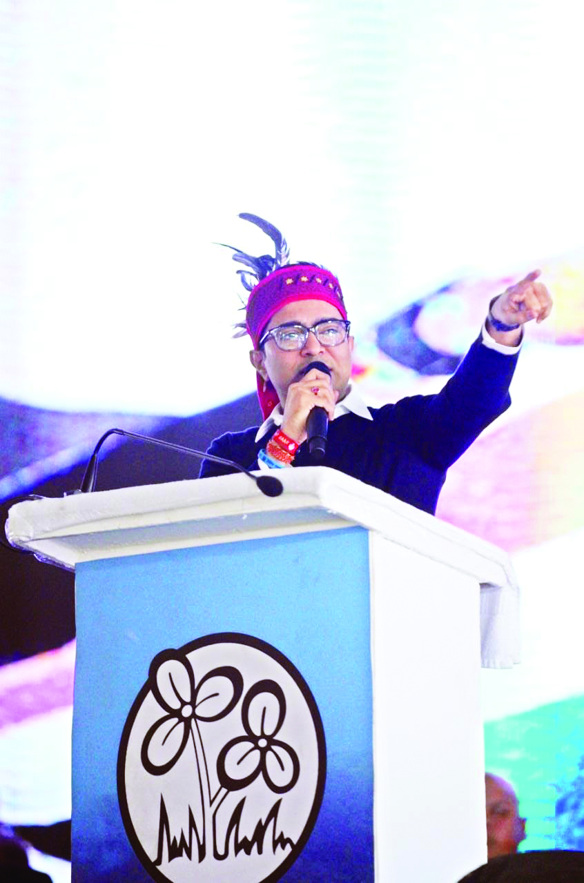 ‘Institutionalisation of remote voting a hasty decision’