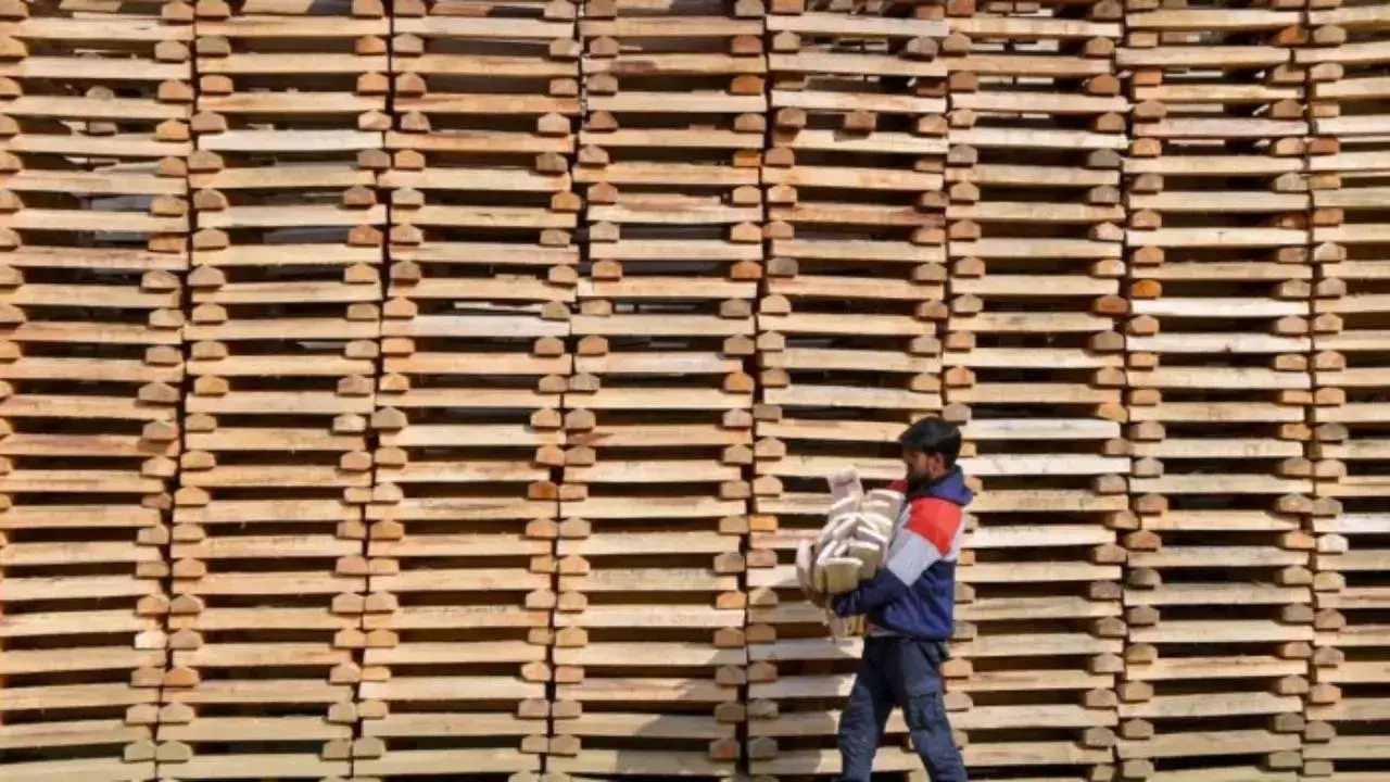 Cricket bat industry in Kashmir stares into oblivion amid growing willow cleft shortage Cricket bat industry in Kashmir stares into oblivion amid growing willow cleft shortage