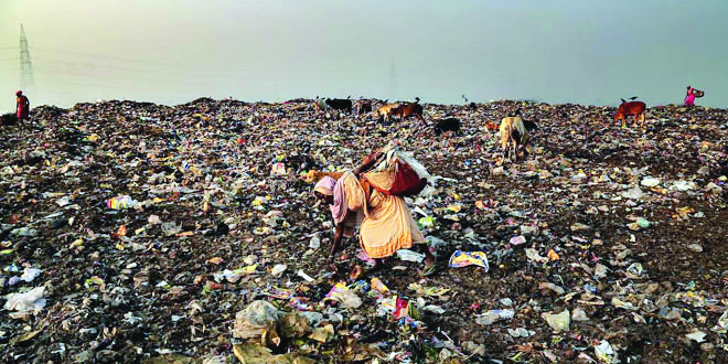 ‘Will write to CP to verify identity of city’s rag pickers’ ‘Will write to CP to verify identity of city’s rag pickers’