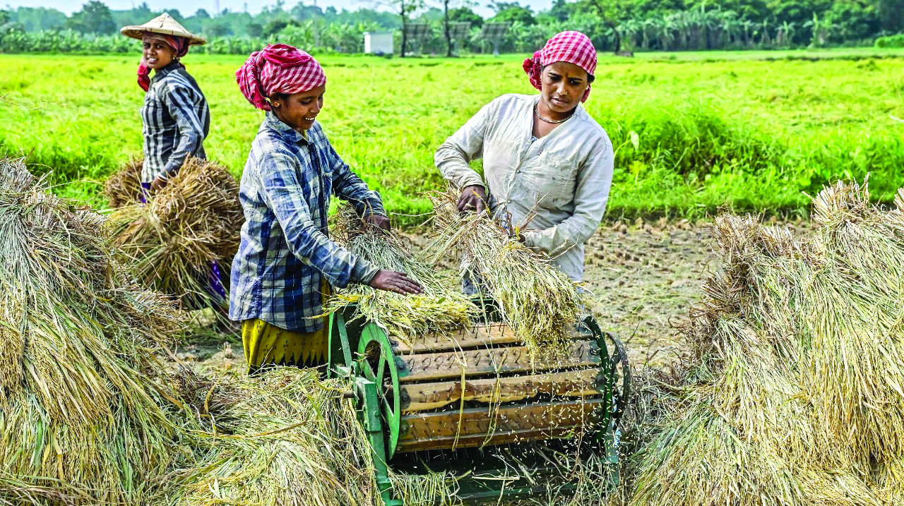 CPI for farm, rural workers falls to 6.38% & 6.6% in Dec CPI for farm, rural workers falls to 6.38% & 6.6% in Dec