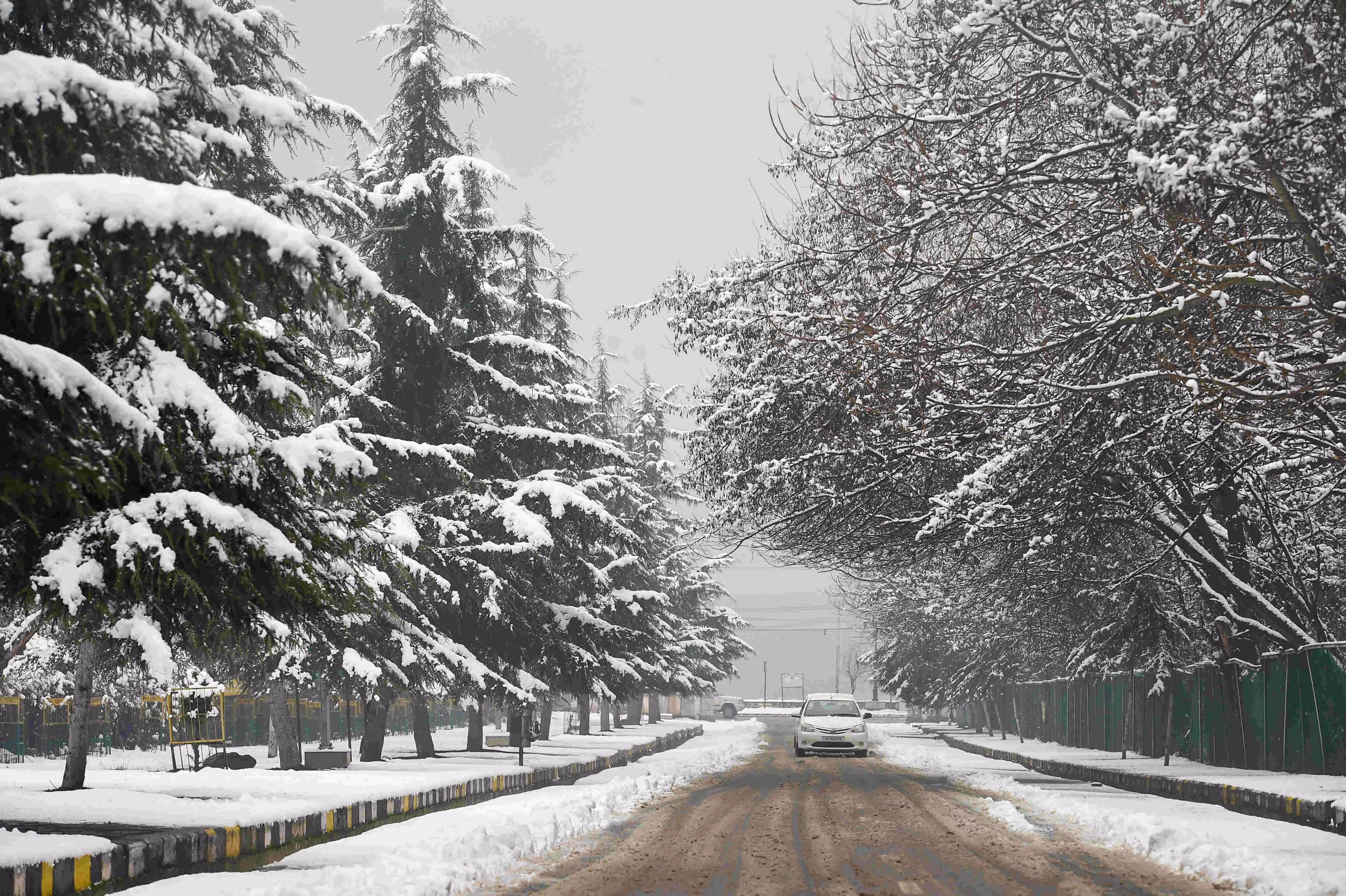 Cold wave further intensifies in Kashmir; Gulmarg shivers at -90C Cold wave further intensifies in Kashmir; Gulmarg shivers at -90C
