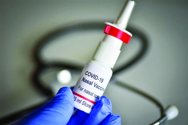 ‘Centre yet to give guidelines to state on administration of nasal vaccine’