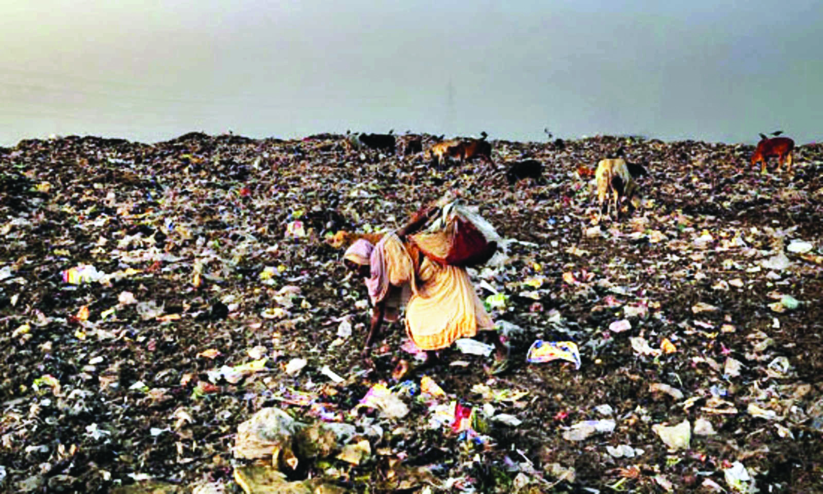 ‘Incorporate ragpickers at policy level in system to recycle waste’