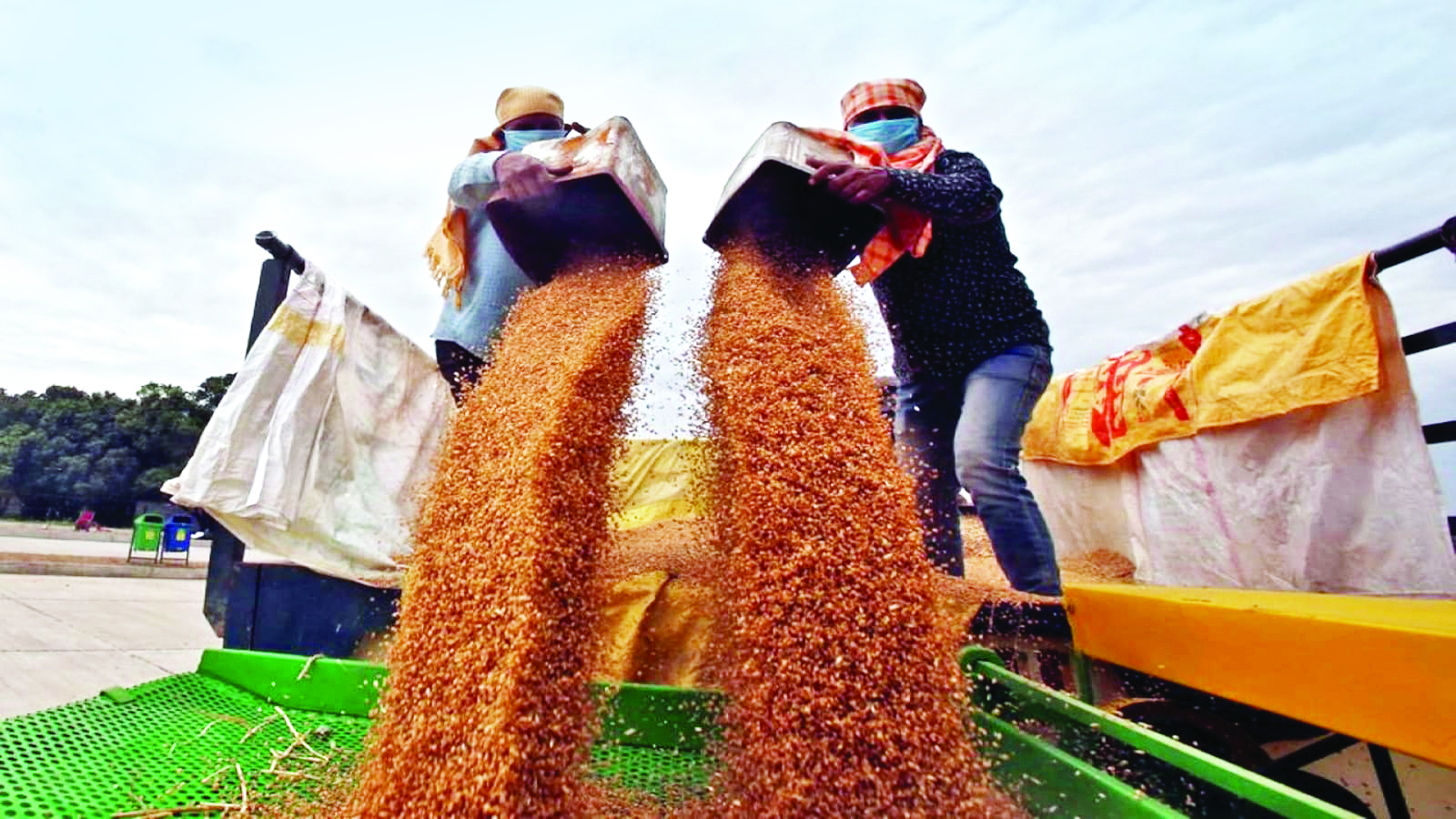 Govt to sell 30 lakh tonnes of wheat from buffer stock
