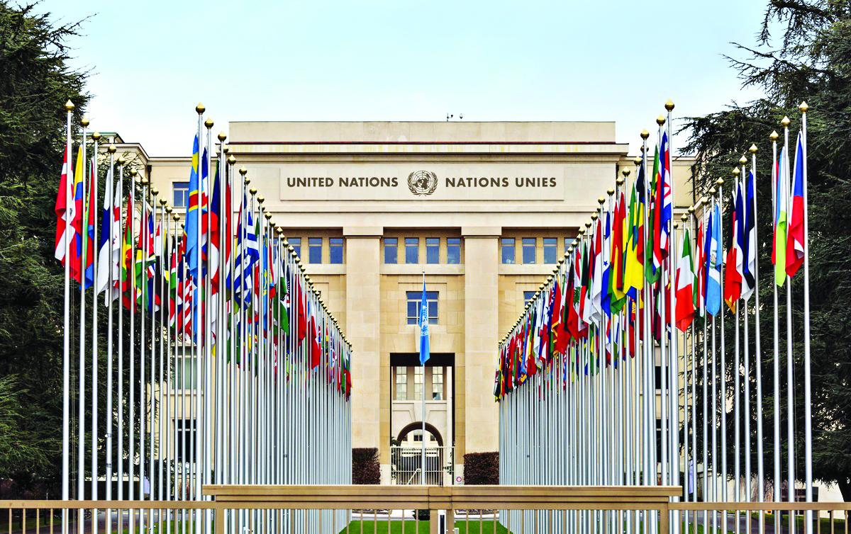 India currently a ‘bright spot’ in global economy: UN economist