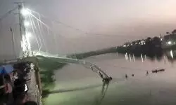 MD of firm that operated Morbi suspension bridge surrenders before Gujarat court