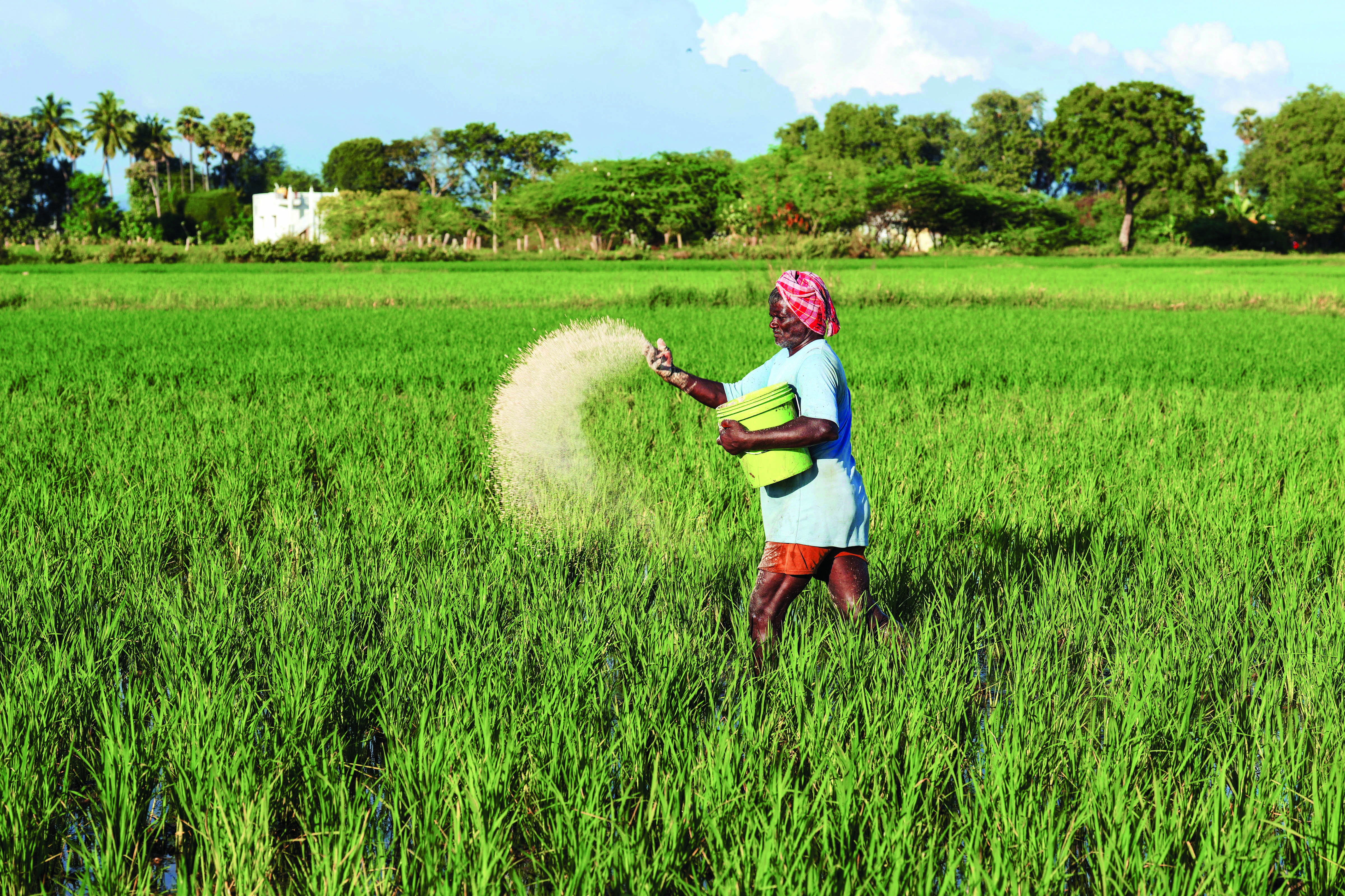 Agri sector records 4.6% growth in last 6 years: ES Agri sector records 4.6% growth in last 6 years: ES