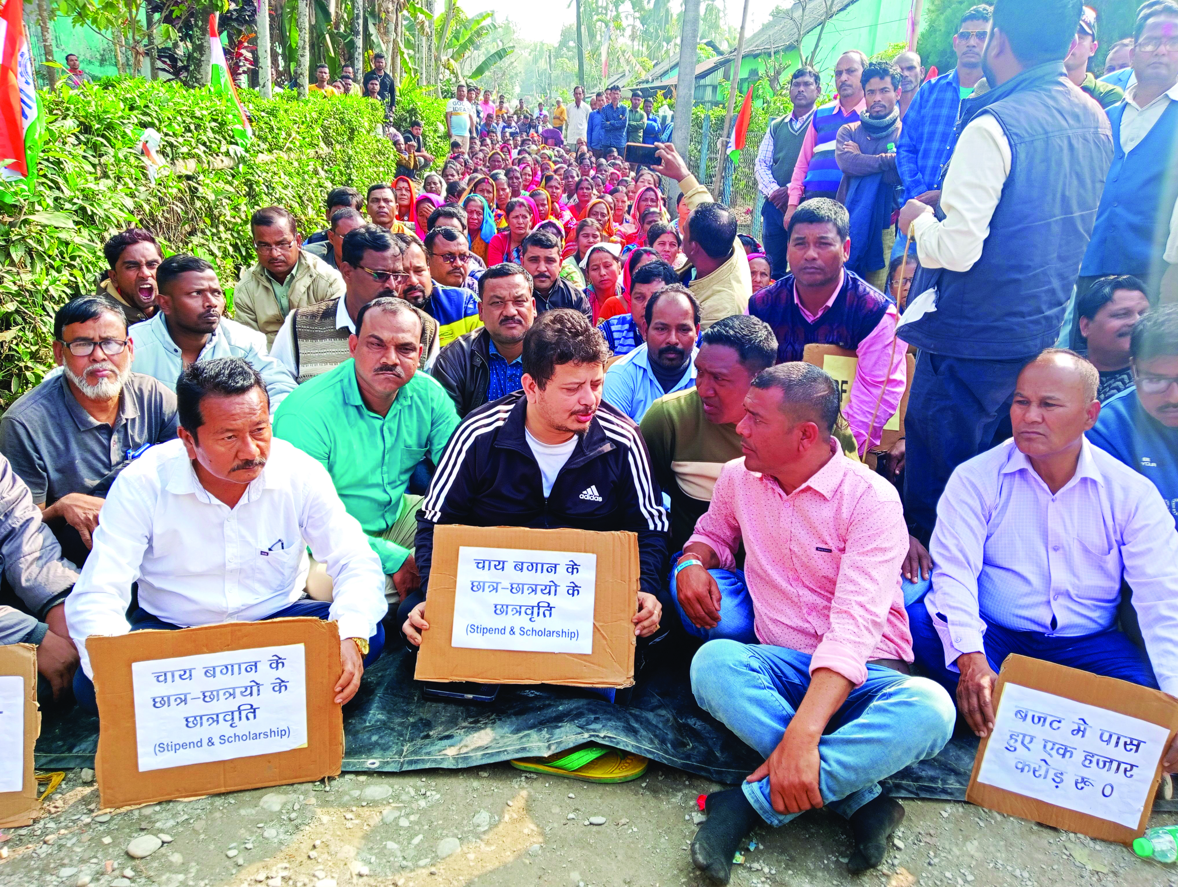 ‘Budget 2023-24 has no mention of tea gardens’