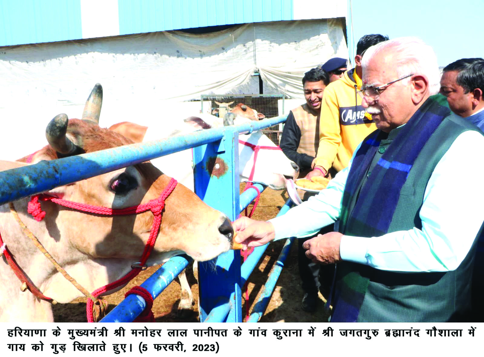 Govt giving Rs 30 crore every year to Gaushalas for fodder: Haryana CM Govt giving Rs 30 crore every year to Gaushalas for fodder: Haryana CM