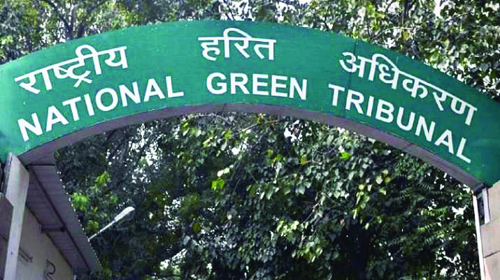 NGT directs Delhi Chief Secy, CP to look   into plea alleging violation of noise laws
