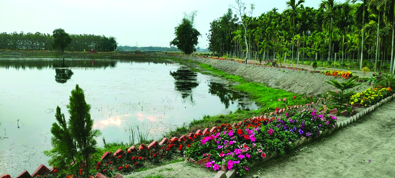 Tourist hotspot: Bio-diversity park comes up in Madarihat Tourist hotspot: Bio-diversity park comes up in Madarihat
