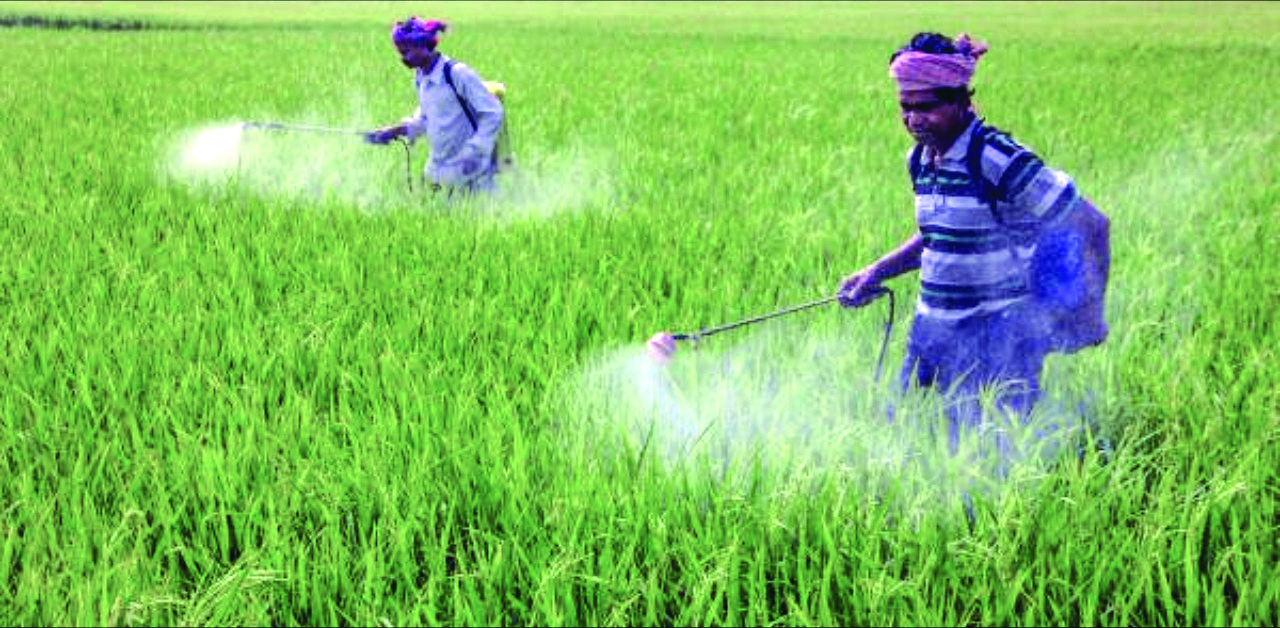 ‘Over 3,600 firms prosecuted over low quality pesticides in last 5 yrs’