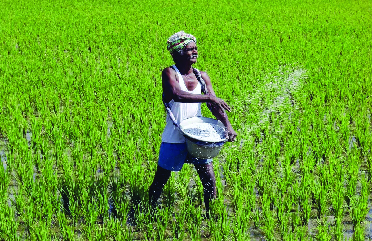 Around 10 states, 5 UTs not implementing PMFBY scheme, says Agri Minister Tomar