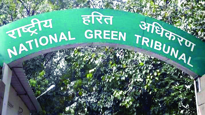 Contamination in rainwater harvesting systems: NGT asks Chief Secy to file ATR Contamination in rainwater harvesting systems: NGT asks Chief Secy to file ATR