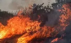 Mumbai: Fire breaks out in several hutments in suburban Malad; minor boy killed Mumbai: Fire breaks out in several hutments in suburban Malad; minor boy killed