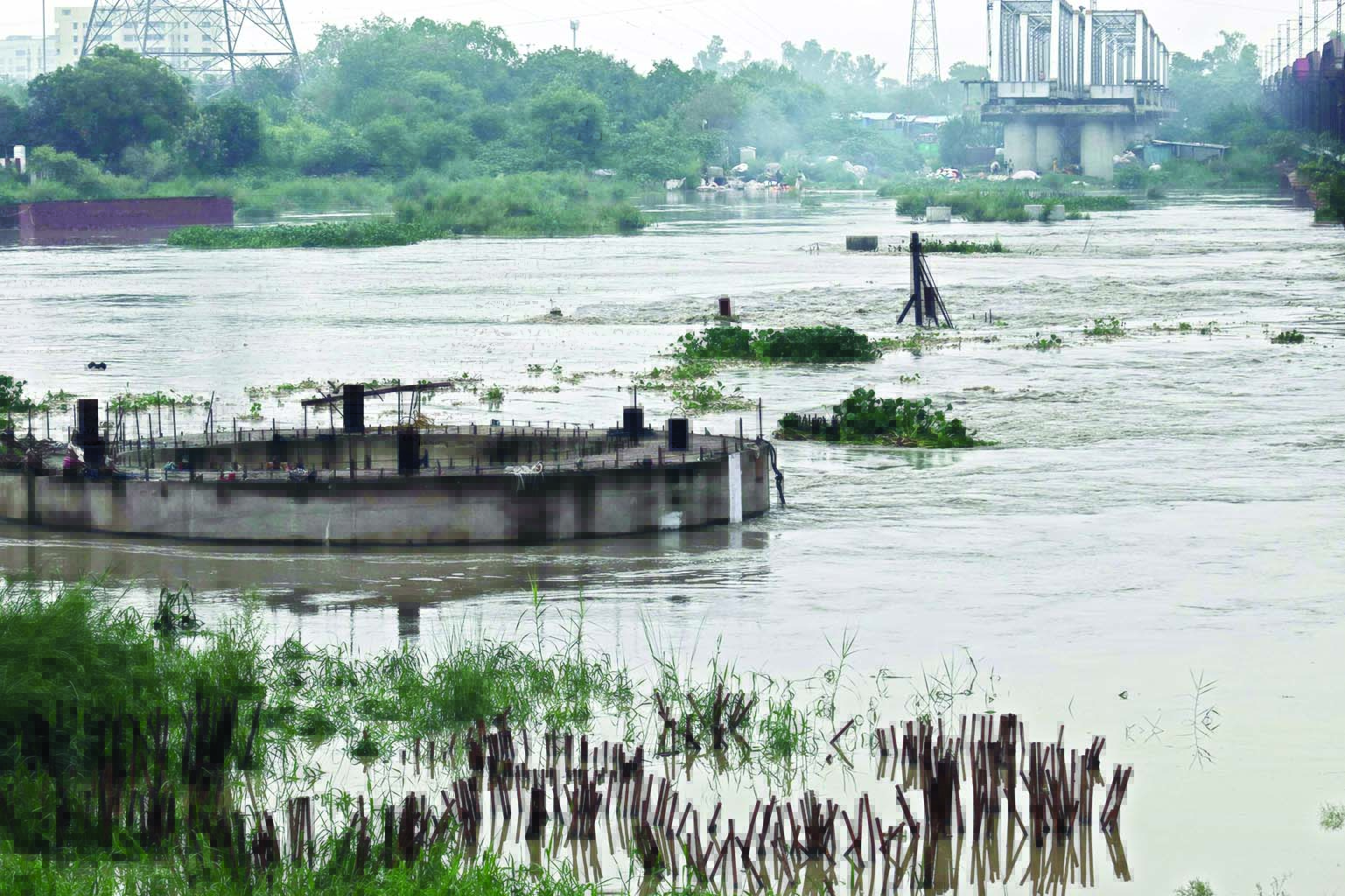 Yamuna cleaning: Panel formed to resolve land issues impeding construction of STPs, DSTPs Yamuna cleaning: Panel formed to resolve land issues impeding construction of STPs, DSTPs