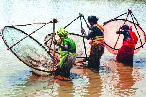Draft docu on revival of pisciculture submitted