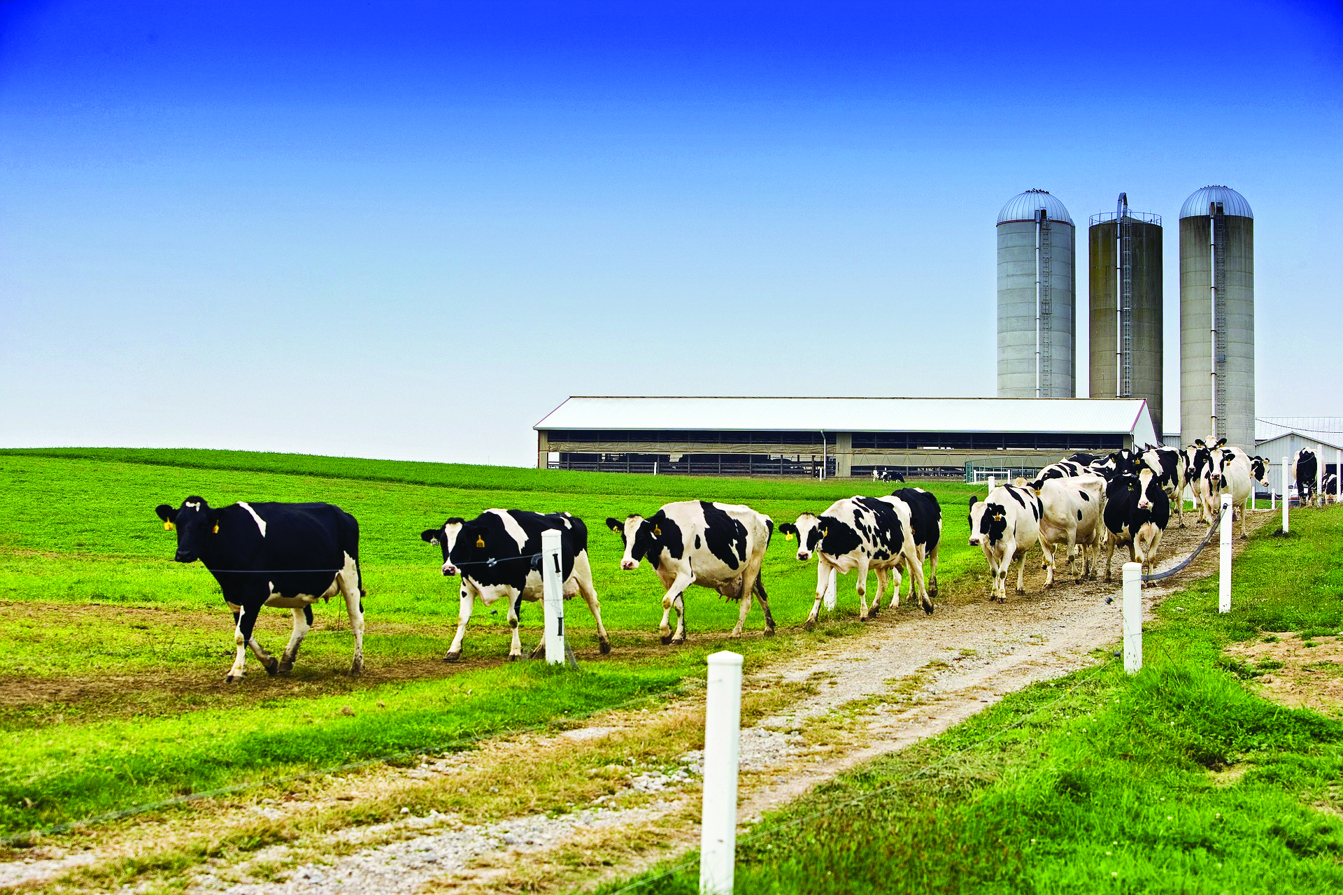 Cabinet okays plan to set up 2L agri, dairy, fishery co-ops in next 5 years Cabinet okays plan to set up 2L agri, dairy, fishery co-ops in next 5 years