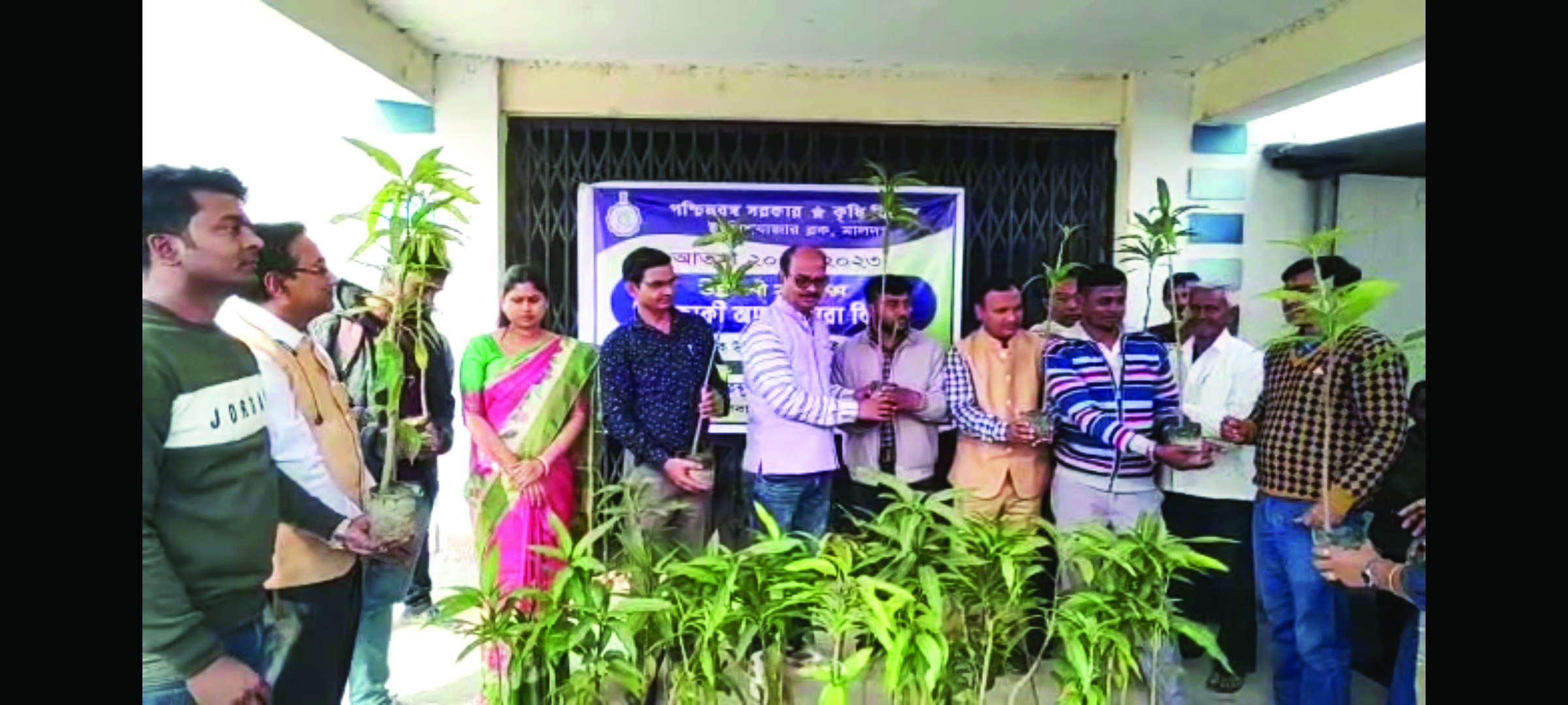 Pilot project: Efforts on to grow world’s costliest mango variant in Malda