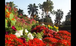 ‘35th Garden Tourism Festival’ begins!