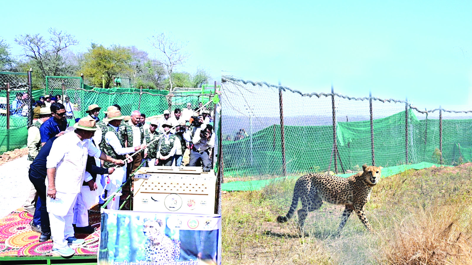 ‘Kuno National Park will now become centre of attraction in Asia’