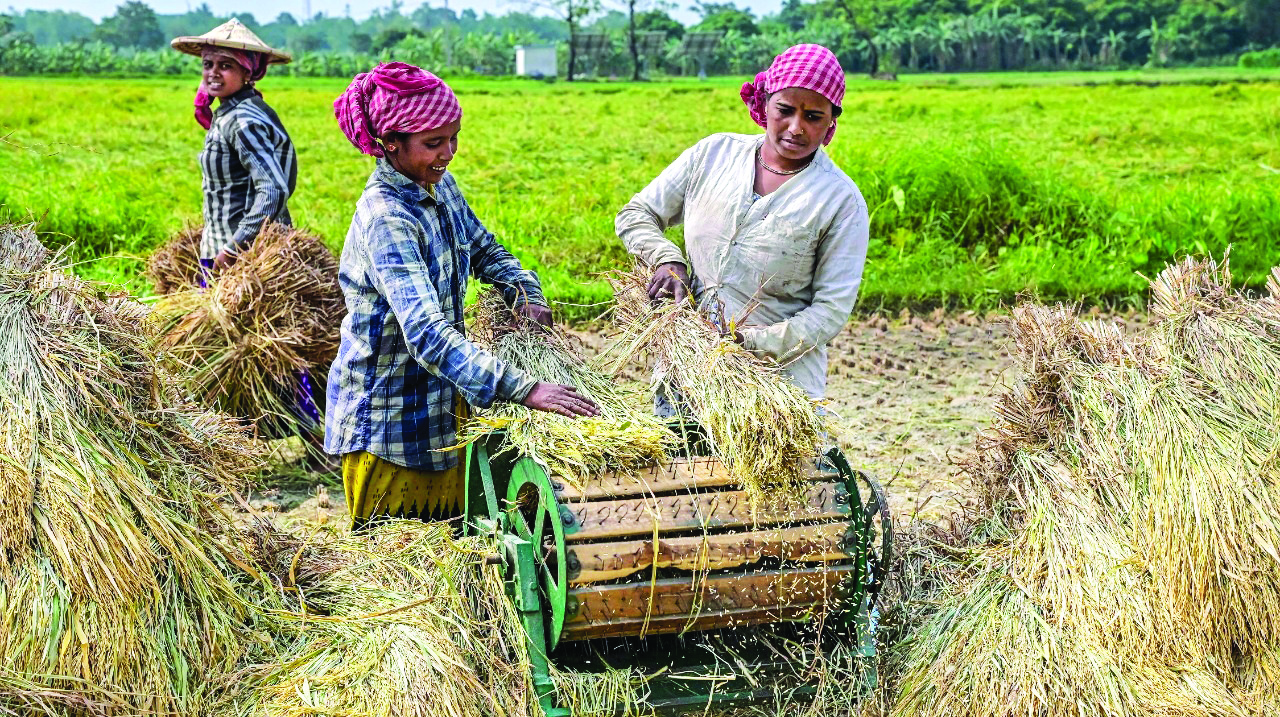 Retail inflation for farm workers increases to 6.85% in January