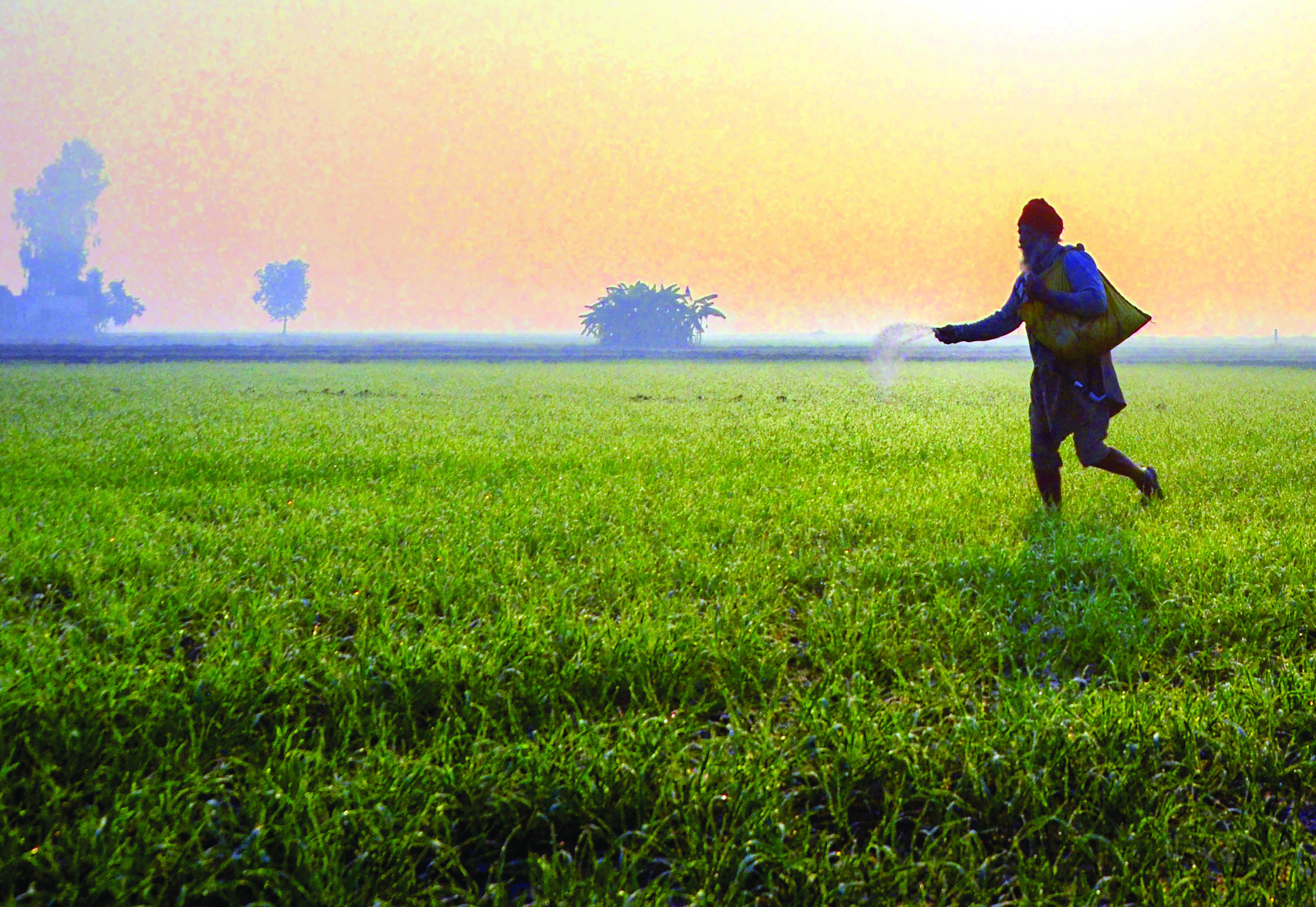 Centre sets up committee to monitor impact of rise in temp on wheat crop Centre sets up committee to monitor impact of rise in temp on wheat crop