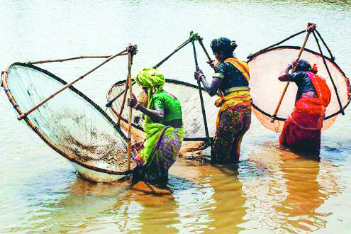 KMC shortlists about 150 ponds for pisciculture