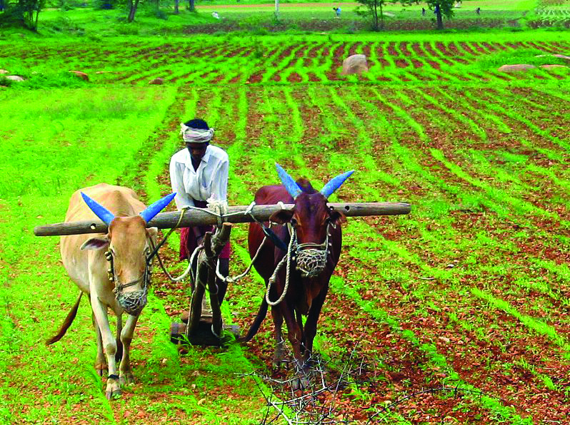 Members want fixed wage for marginalised farmers Members want fixed wage for marginalised farmers