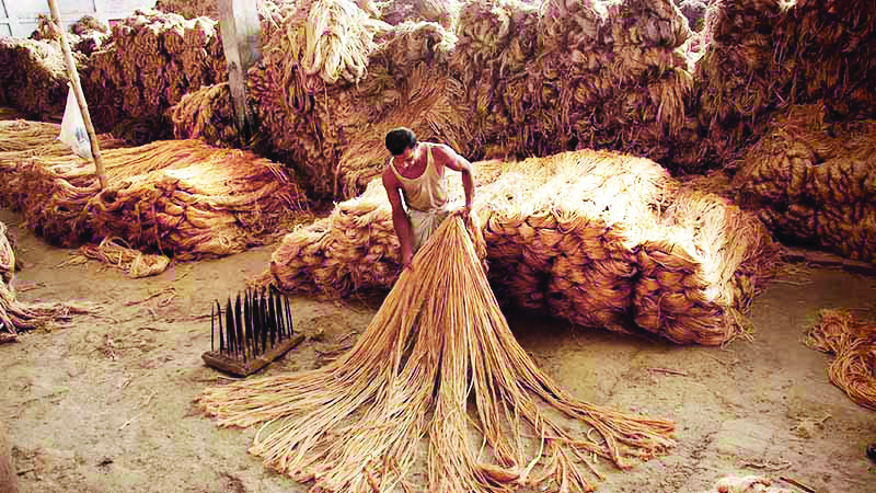 Govt extends mandatory jute packaging norms