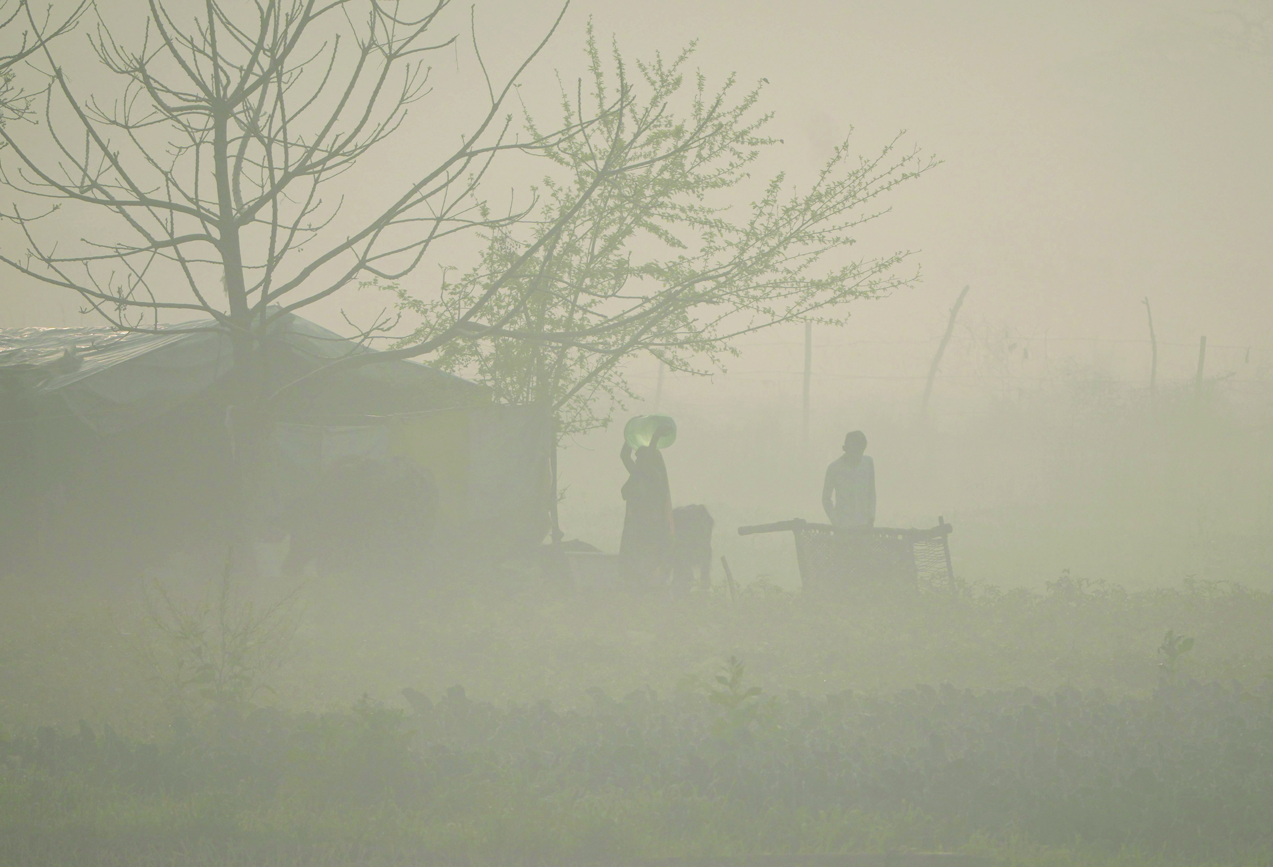Delhi sees dense fog, min temp 3 notches above normal: IMD