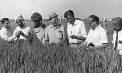 Relieving ‘holiday’ period