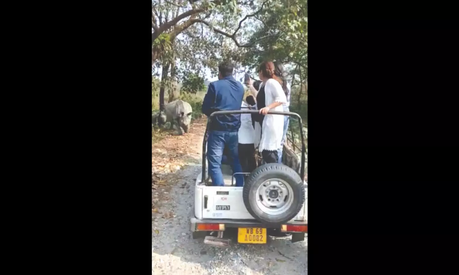 Jaldapara: Post mishap, strictures issued for guides & safari drivers