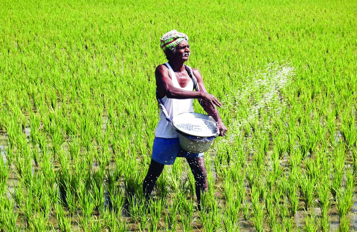 ‘Fertiliser imports up 3.9% to 19.04 lakh tonnes in Jan’