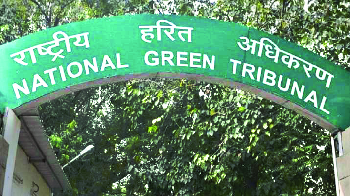NGT forms committee to obtain report on ‘encroachment’ of Vasant Kunj pond NGT forms committee to obtain report on ‘encroachment’ of Vasant Kunj pond