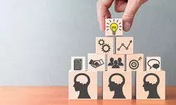 Facilitating ‘knowledge management’