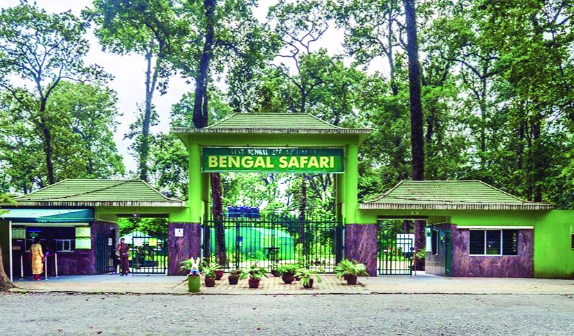 13 blackbucks, 4 hog deer arrive at Bengal Safari Park from J’khand