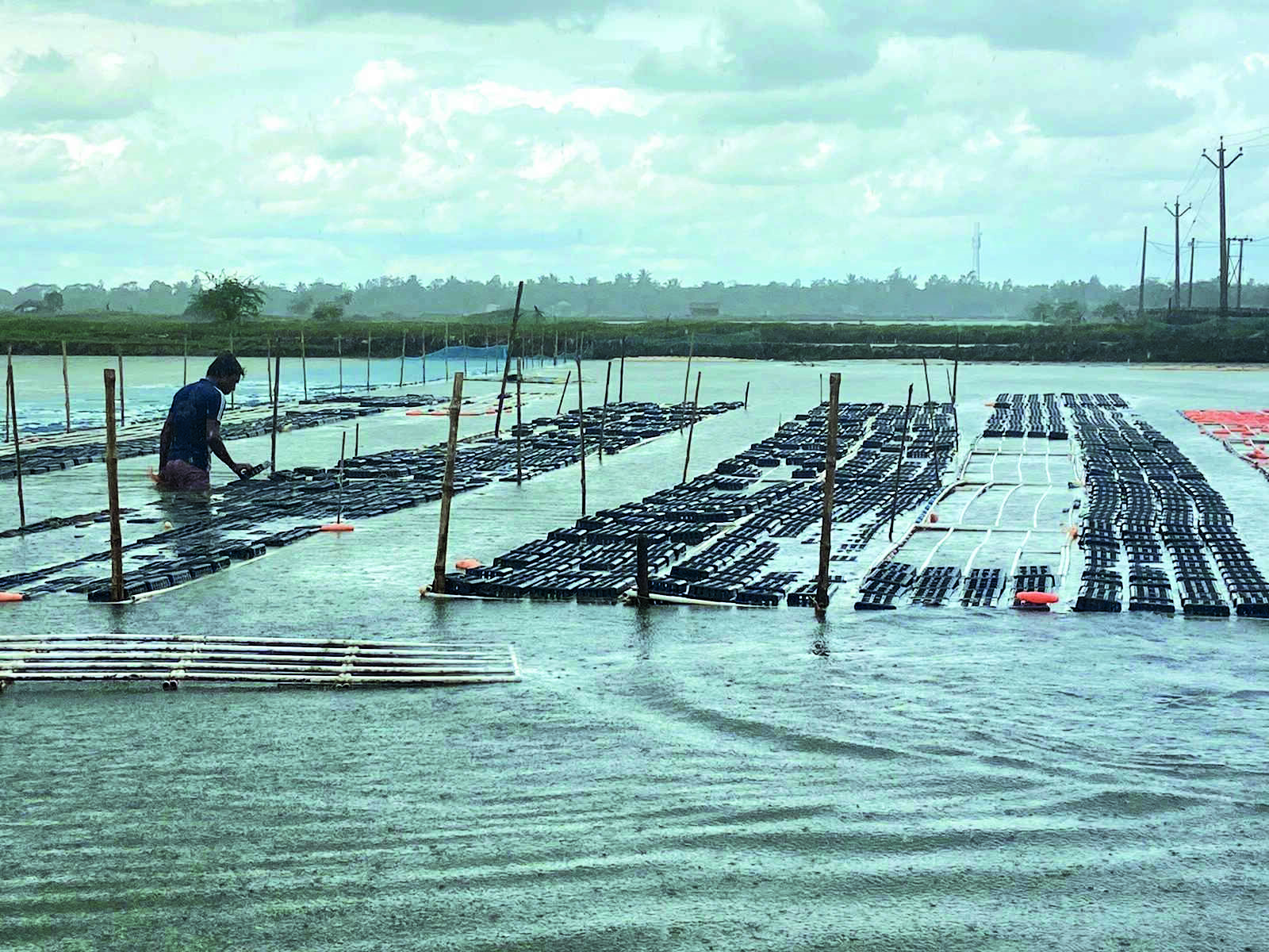 MoU signed for starting cage culture in Kangsabati Reservoir
